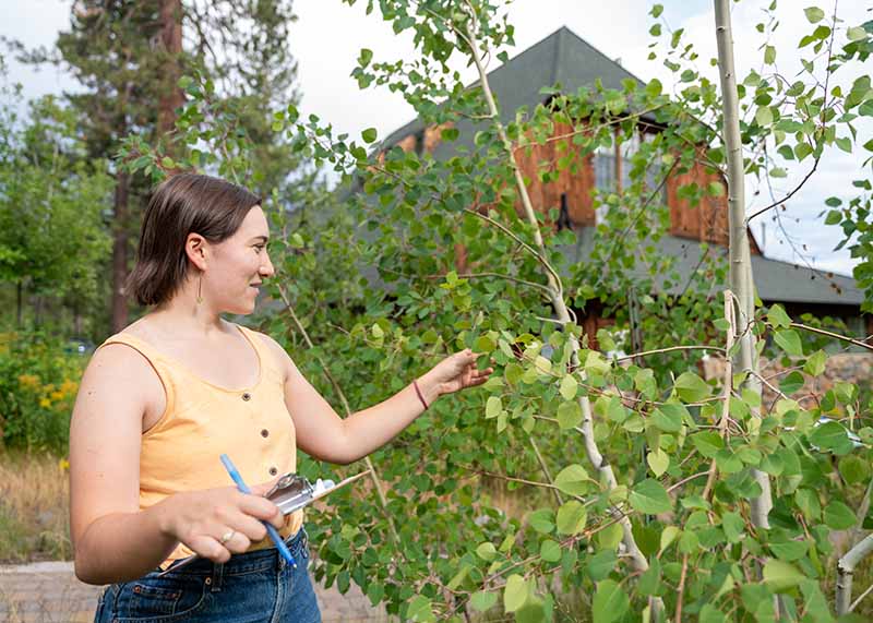 Lake Tahoe Stewardship Plan Draws National Attention