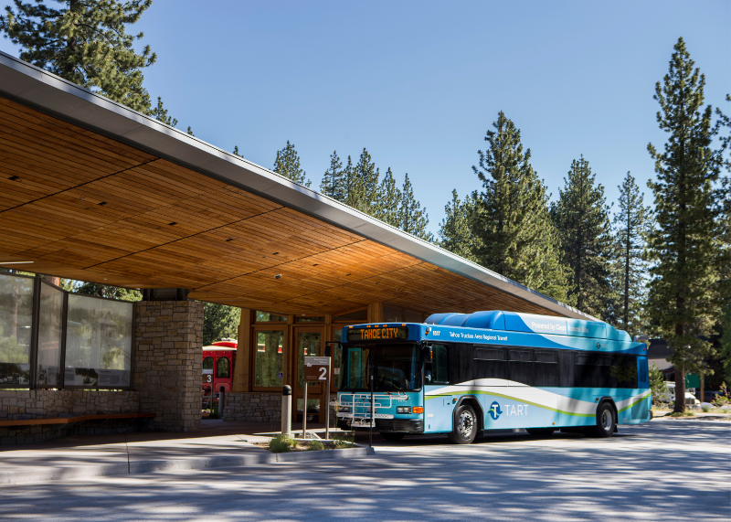 TART Summer Transit Guide: Free, Easy, and Car-Free Travel All Season Long