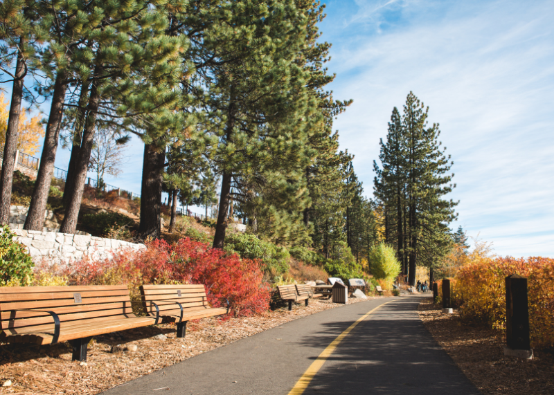 We're Hiring: Help Shape the Future of North Tahoe
