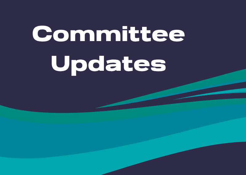 Ten Local Residents Fill Open NTCA and North Tahoe Chamber Committee Seats